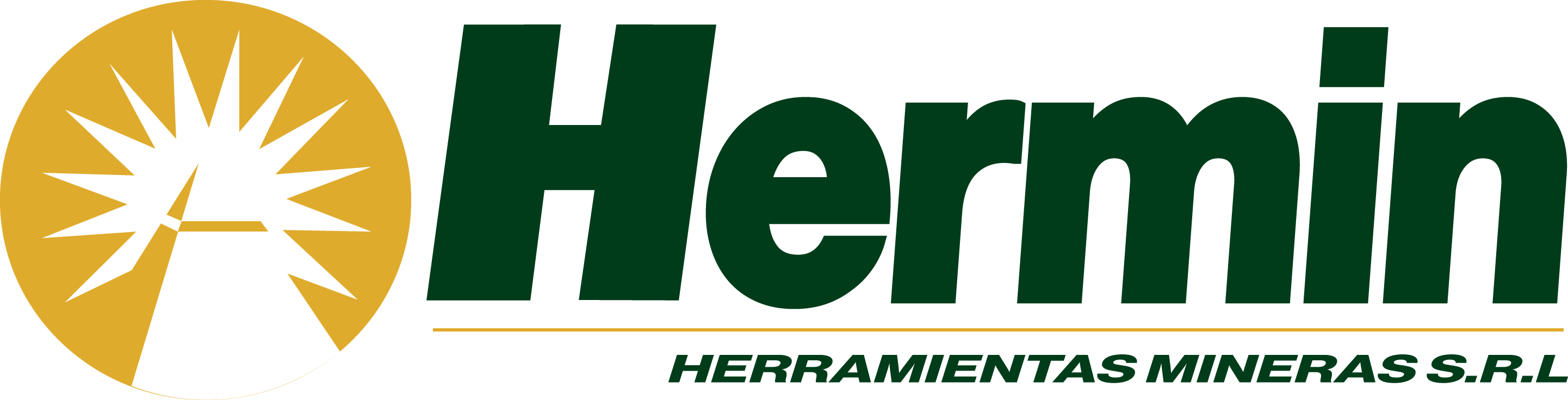 HERMIN logo